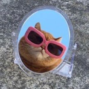 Meet your Posher, Dani